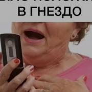 Прикол Мыло Положила В Гнездо