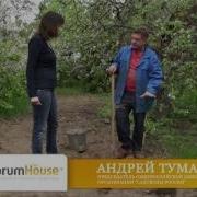 Андрей Туманов Сад И Огород Полезные Советы