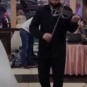 Парень Красиво Играет На Скрипке Музыка Для Души