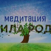 Медитация Энергия Рода