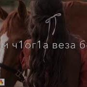 Сунам Ч1Ог1А Веза Бохуш