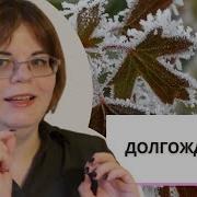 Трэвис Коркоран Державы Земные