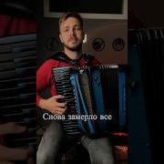 Василий Юрченко Аккордеон