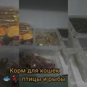 Полня Песня Хаёт Ризоев
