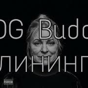 Клинингу Og Buda