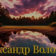 Александр Волощук Не Твоего Я Поля Ягода