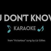 Liz Gillies Victorious You Don T Know Me Karaoke Hd