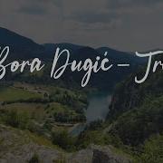 Bora Dugic