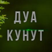 Дуои Кунут