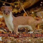 Песня Горностай Из Шоу Маска