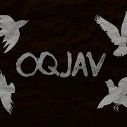 Oqjav 4 Птицы