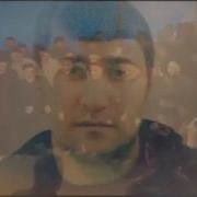 Дала Декъал Войл Хьо Сулиман