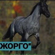 Хан Шырдакбектин Боз Жоргосу Кыргыз Эл Дастаны