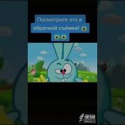 Заставка Смешарики No 2 Заставка Смешарики No 2 Заставка Смешарики No 3 Заставка Смешарики No 3