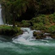 Шум Воды Водопада Успокаивающие Звуки Природы Джунглей Пение Птиц