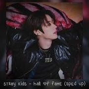 Hall Of Fame Stray Kids Speed Up