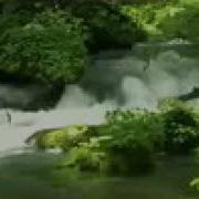 Бо Коргари Хукумати Точикистон
