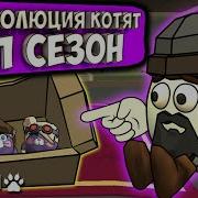 Эволюция Котят Музыка