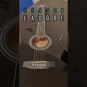 Get Tune Net