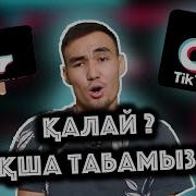 Тик Ток Тан