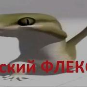 Ящерица Танцует Под Флекс Музыку