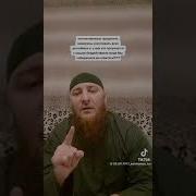 Цветет Грозный Возрождается Чечня