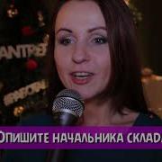 Новогодние Перевертыши