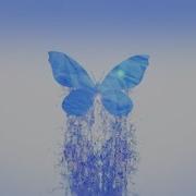 Splashing Butterfly Logo Reveal After Effects Project Files Videohive