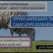 Құрбан Шалу Және Қажылық Аудио
