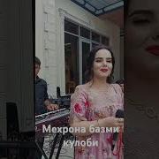 Мехронаи Хайриддин