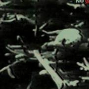 Крематорий Дым На Небе
