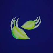 Чеченские Песни Йог1Уш Йоьдуш Хьом Ц Яйчи