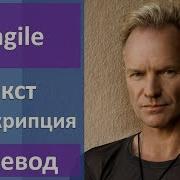 Sting Fragile Текст Перевод Транскрипция