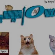 10 Часов Танцующих Котов