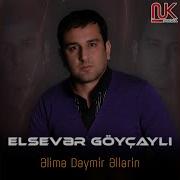 Elime Deysin Ellerim