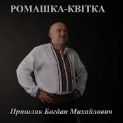 Ромашка Квітка