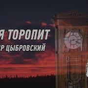 Владимир Цыбровский