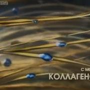 Глисс Кур Реклама