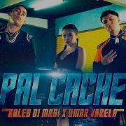 Kaleb Di Masi Pal Cache