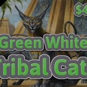 Mtg Budget Deck Standard Gw Cat Tribal Deck Tech