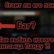 Как Выбить Нового Питомца Панду Стоит Ли Донатить Чтобы Получить Панду Панда Лучше Других Петов