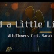 Wildflowers Feat Sarah Pumphrey Shed A Little Light