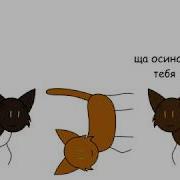 Коты Воители Второй Цикл В Двух Словах