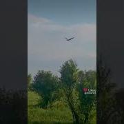 Кадышева Лети Туда Где Яркий Свет