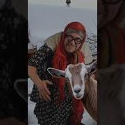 Они Выглядят Как Твари Песня
