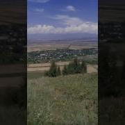 Сары Камыш