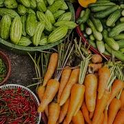Для Сельского Хозяйства Ведьмина Изба