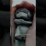 Открываю Холодильник Проверяю Все Запасы Текст