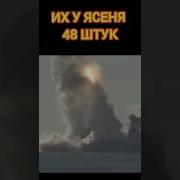 Их У Ясеня 48 Штук