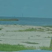 Qc Animations Kilty Anemateon